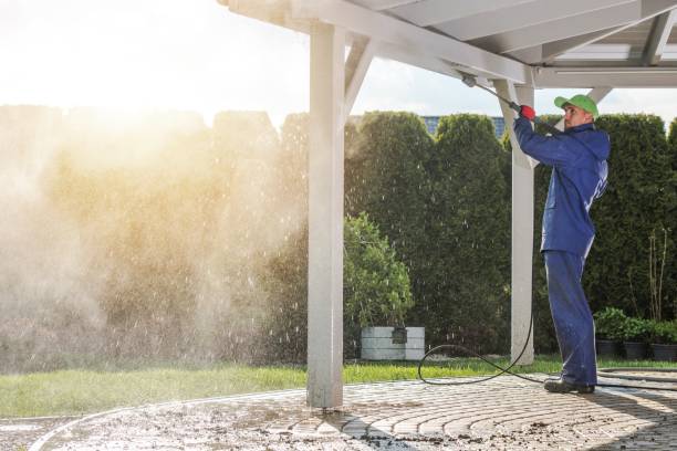 Best Spring Cleaning  in Basehor, KS